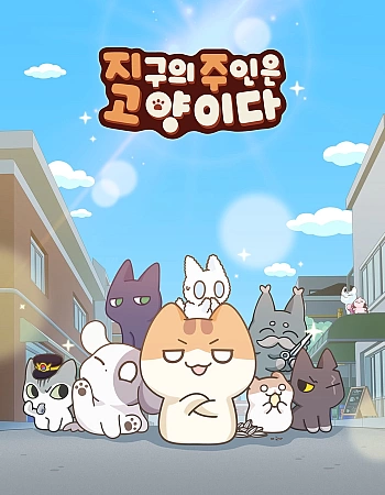 Коты, владеющие миром