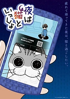 Вечера с кошкой